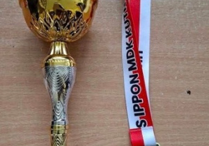 XVII Mistrzostwa Kutna w Judo