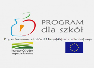 Program dla szkół