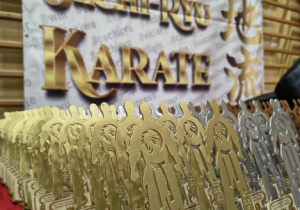 XIII Ogólnopolski Turniej Karate Uechi-Ryu.
