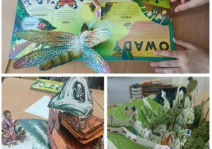 Myślenie krytyczne w akcji!