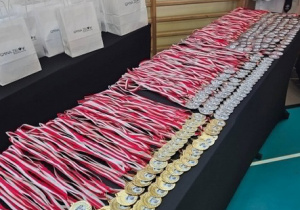 Turniej karate o Puchar Burmistrza Zelowa.