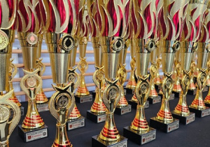 Zdjęcie przestawiające stojące na stole puchary chwilę przed ich wręczeniem.