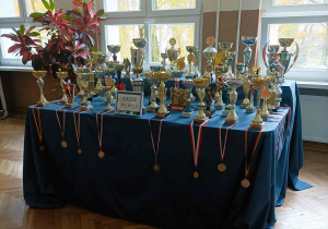 Zdjęcie przedstawia liczne trofea, puchary i medale zdobywane przez lata działalności naszej szkoły.